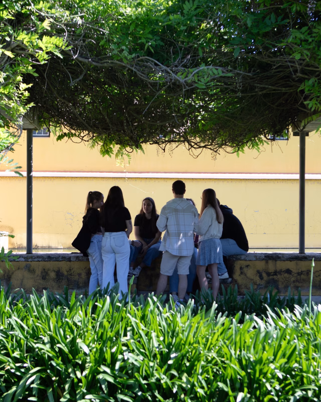 UA_Ambientes-14